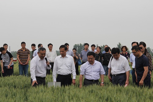 H:/02 所网稿件/观摩会2.jpg H:/02 所网稿件/观摩会2.jpg