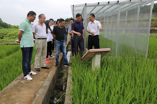 H:\02 所网稿件\参观.jpg