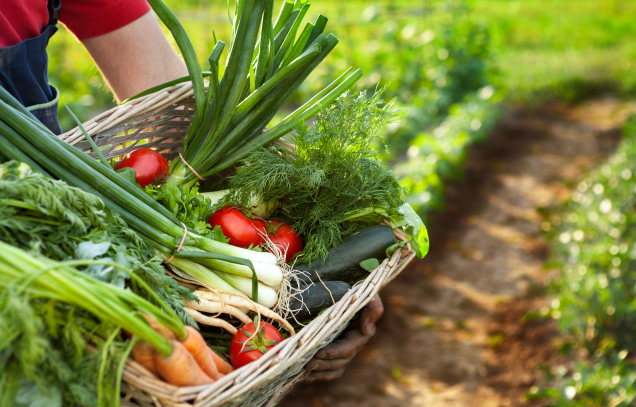 National Natural Science Foundation of China funds IARRP project (I)