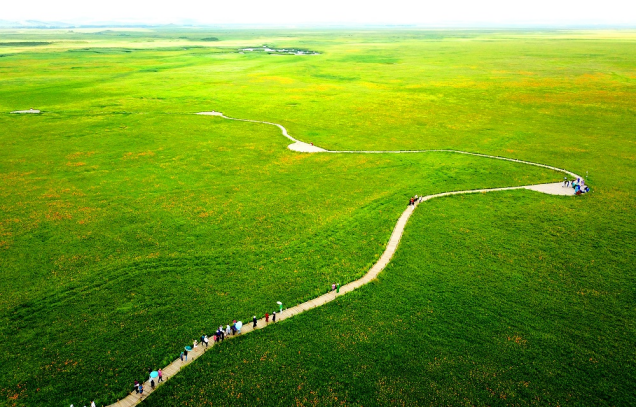 IARRP team finds possible bias in nitrogen deposition study