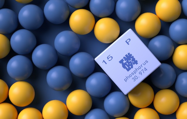 IARRP team reviews new progress and prospects of plant phosphorus signaling regulation