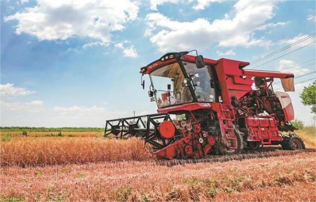 IARRP team clarifies the mechanism of returning large amounts of pelletized straw to the field to rapidly increase soil organic matter and simultaneously increase production in the black soil region of Northeast China