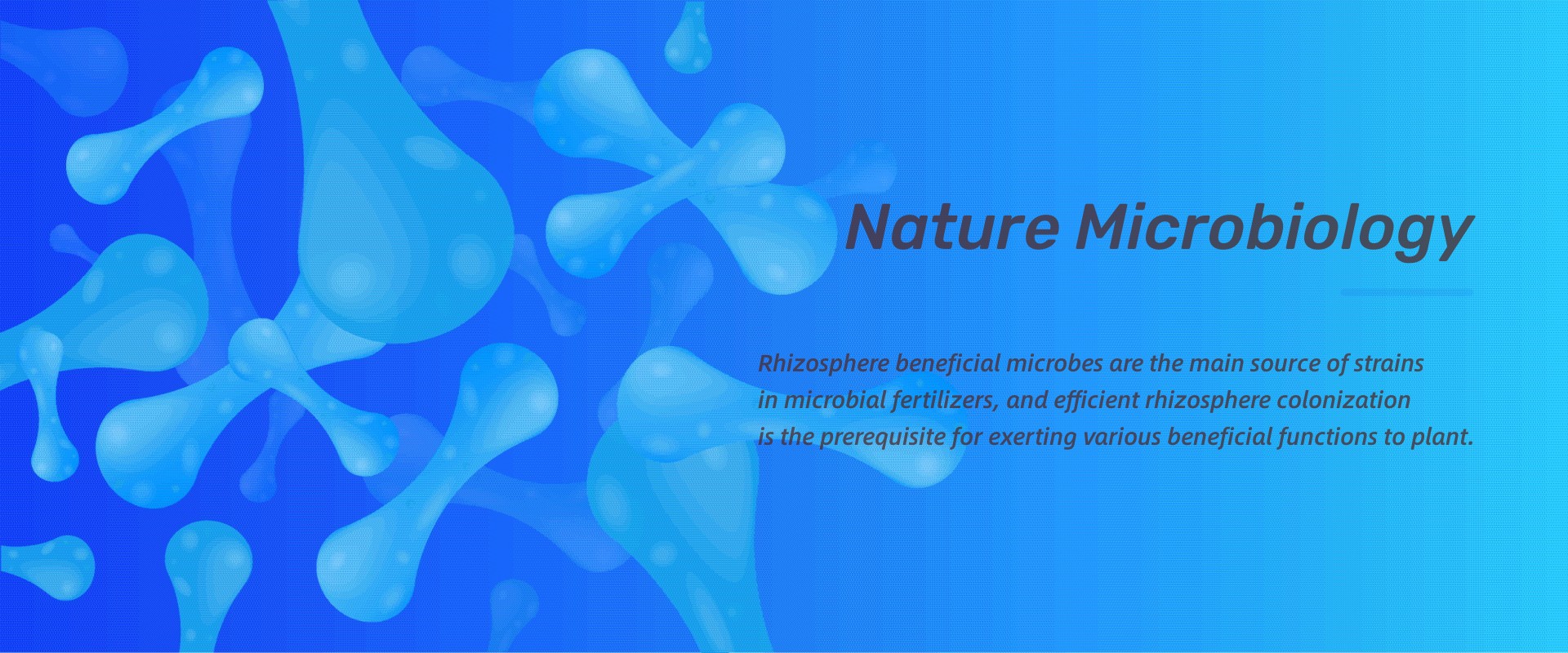 IARRP team reveals novel mode of plant-microbe interaction in the rhizosphere colonization of plant beneficial microbes