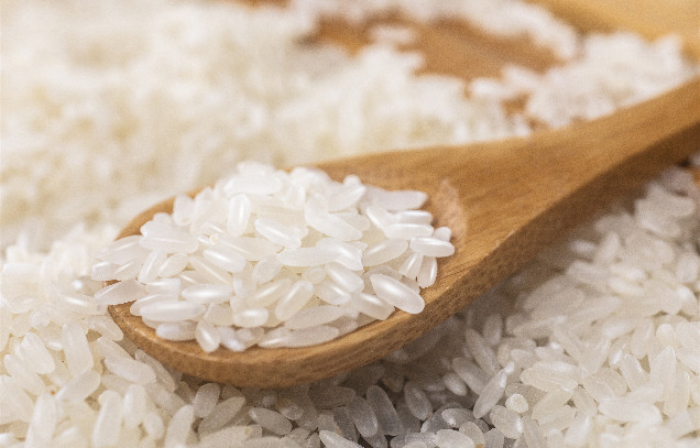 IARRP team proves paddy fields can produce more high-quality rice with less nitrogen by green manuring