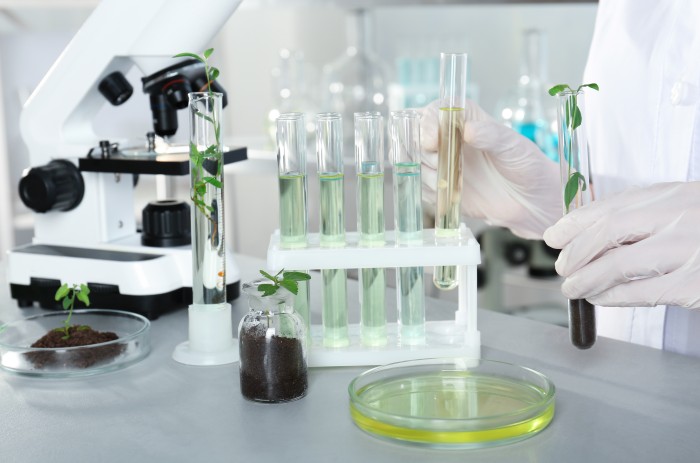 IARRP team reveals novel mode of plant-microbe interaction in the rhizosphere colonization of plant beneficial microbes