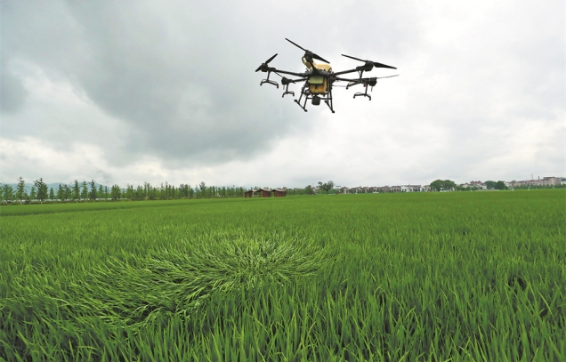 IARRP led and developed agricultural standard for the monitoring and evaluation of soil carbon sequestration and greenhouse gas emission reduction of climate smart crop production