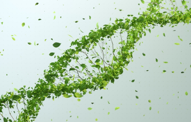 IARRP team publishes a correspondence article on crop yields in 'Nature'