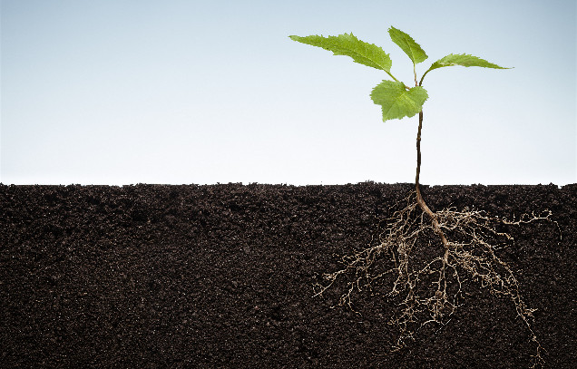 IARRP team reveals biological mechanism of endogenous regulation of soil health by green manure