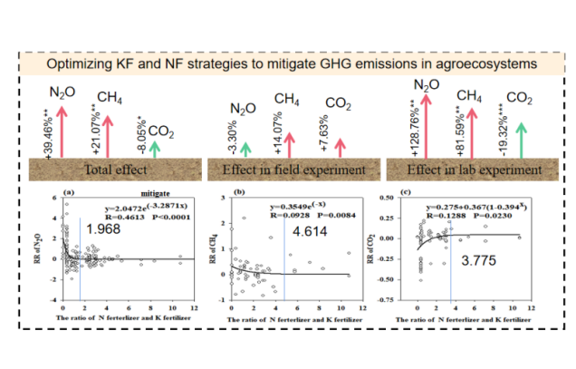 Qiyang Station reveals that optimizing potassium and nitrogen fertilizer application can reduce greenhouse gas emissions in agricultural ecosystems