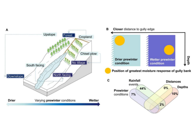 IARRP team reveals the contribution mechanism of pre-winter conditions and rainfall events to soil moisture response in the Mollisol region of China