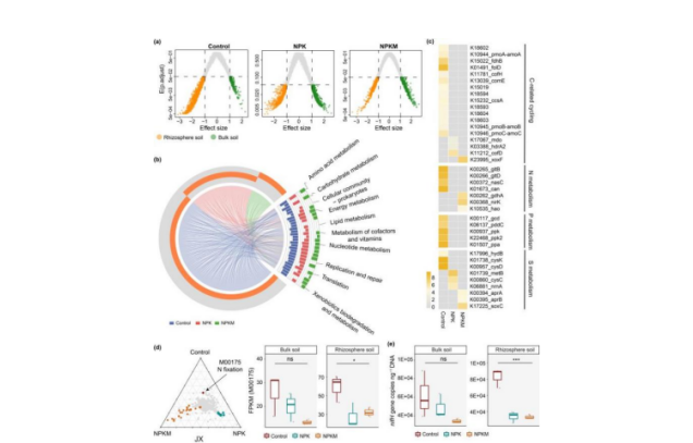 IARRP team reveals maize rhizosphere microbial community assembly strategy based on functional requirements