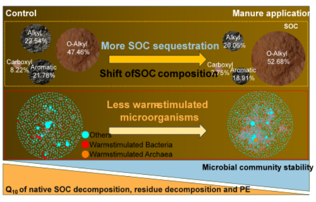 IARRP team reveals findings on key mechanisms of long-term manure-application reducing soil organic carbon loss during abrupt warming