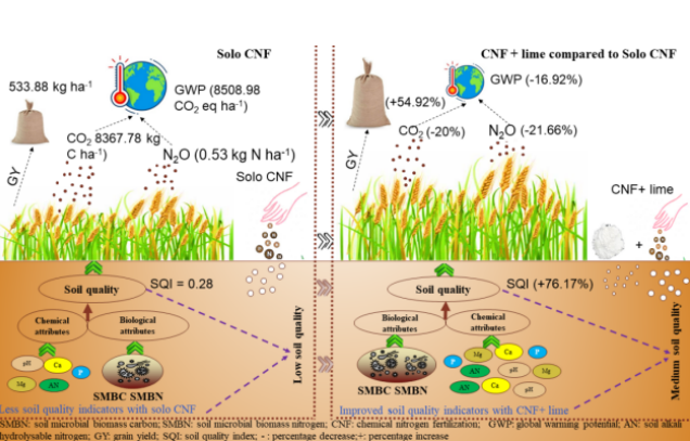 Long-term application of lime with fertilizers enhances soil quality, crop yield, and reduces greenhouse gas emissions