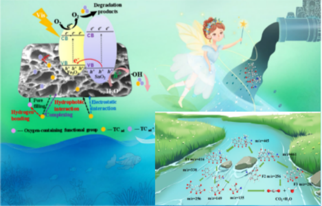 IARRP team develops quantum dot magnetic biochar composite material for visible light degradation of tetracycline