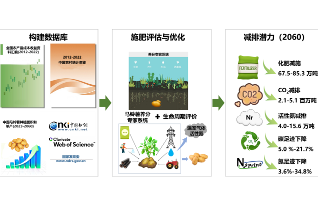 Nutrient management optimization enhances sustainable potato production