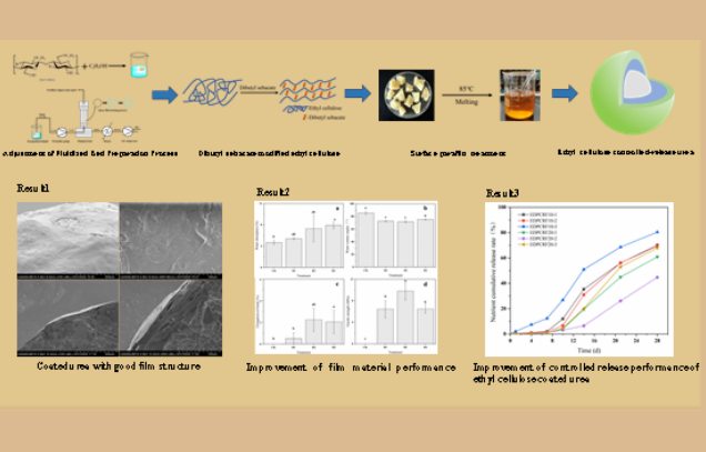 IARRP team develops ethyl cellulose-coated controlled-release urea