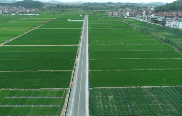 Exploring soil carbon sequestration and productivity enhancement: insights from Wuxue city, Hubei province