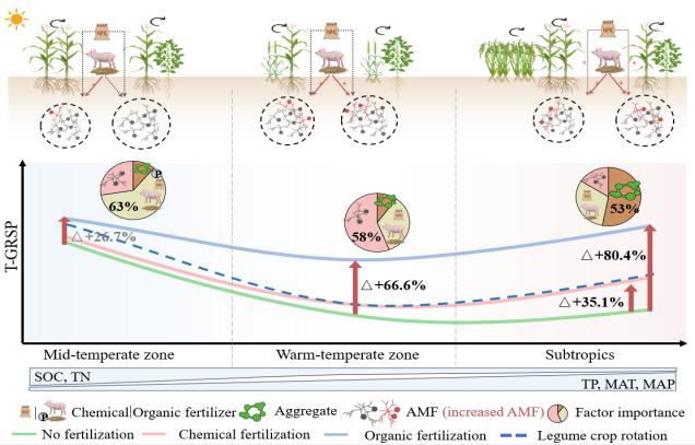 IARRP team unveils key factors of glomalin accumulation in soils under long-term fertilization