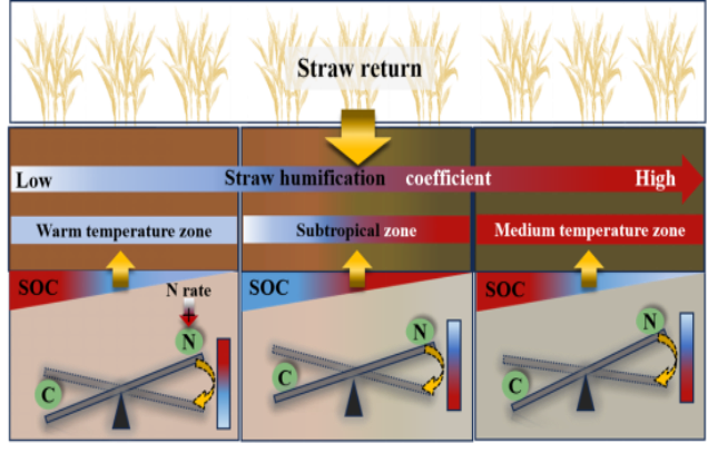 Key drivers linking straw humification coefficient to soil fertility identified by IARRP team