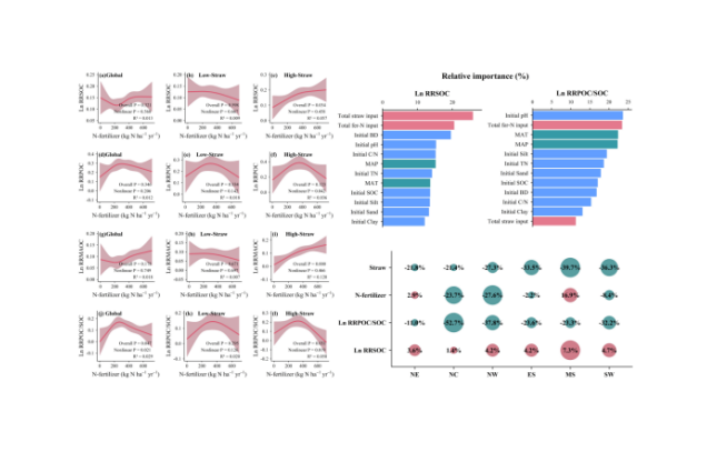 Data-driven optimization of&nbsp;carbon and nitrogen inputs enhances soil carbon sequestration and stability