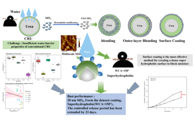 IARRP team develops nano-SiO2-modified superhydrophobic polyurethane-coated controlled-release urea