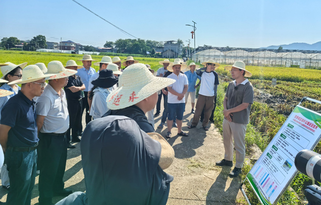 Field observation meeting on rice straw incorporation by water-logged press-bury technology in double-cropping rice areas successfully held