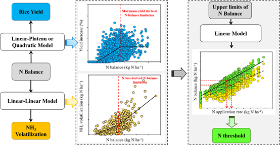 Plant nutrition scientists propose new method of nitrogen balance acting an indicator for estimating thresholds of nitrogen input in rice paddies of China