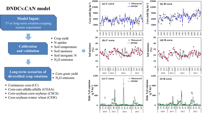 Scientists assess the impact of diversified crop rotation systems on yields and nitrous oxide emissions in Canada using the DNDC model