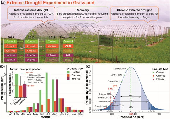 Scientists study community response of arbuscular mycorrhizal fungi to extreme drought in a cold-temperate grassland