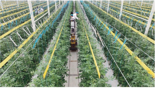 我国农业绿色转型持续深化