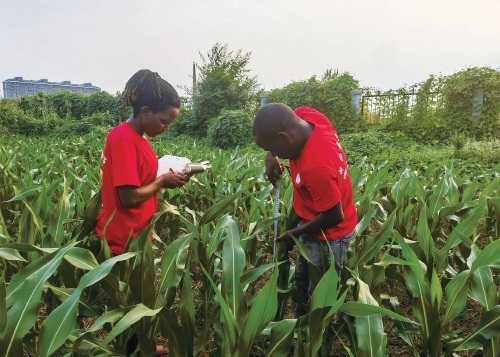 我在中国学农业