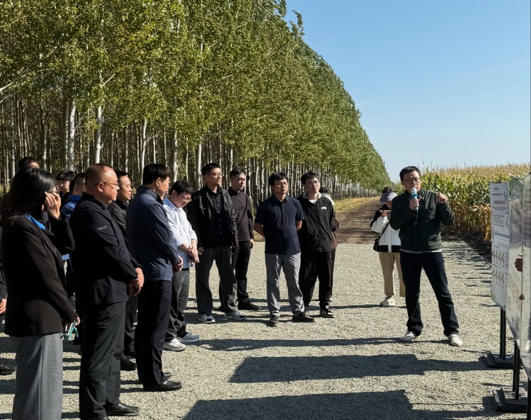 种玉米这件事，为什么需要“智慧大脑”？